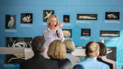 Bundesforschungsministerin Johanna Wanka eröffnet den dritten Teil der Ausstellung "Das Meer beginnt hier" im Foyer des Berliner Dienstsitzes des Bundesforschungsministeriums.