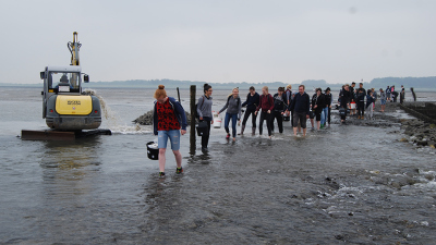 Students in the Wadden Sea at Sahlenburg