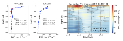 modelling particulate organic carbon in the water column