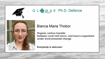 Announement of PhD Defence of Bianca Thobor