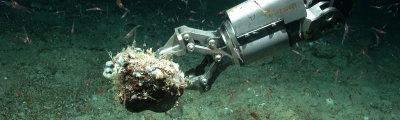 Sampling with the ROV MARUM-QUEST at a water depth of 620 meters in the Atlantic Ocean. Photo: MARUM − Center for Marine Environmental Sciences, University of Bremen